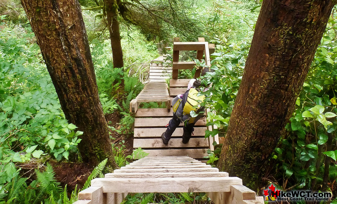 West Coast Trail Ladders