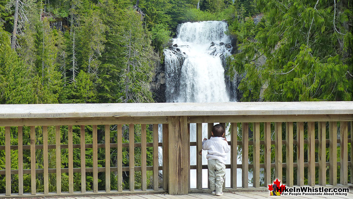 Alexander Falls Viewing Platform