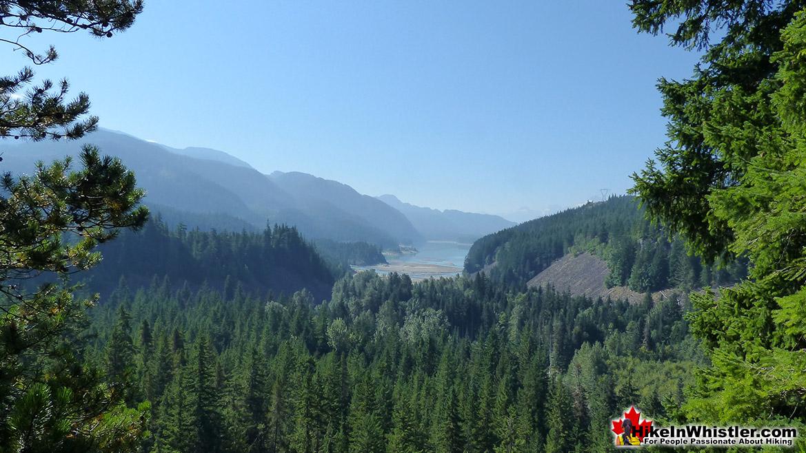 Brandywine Falls Daisy Lake Viewpoint