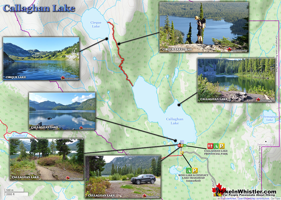 Callaghan Park Map v8