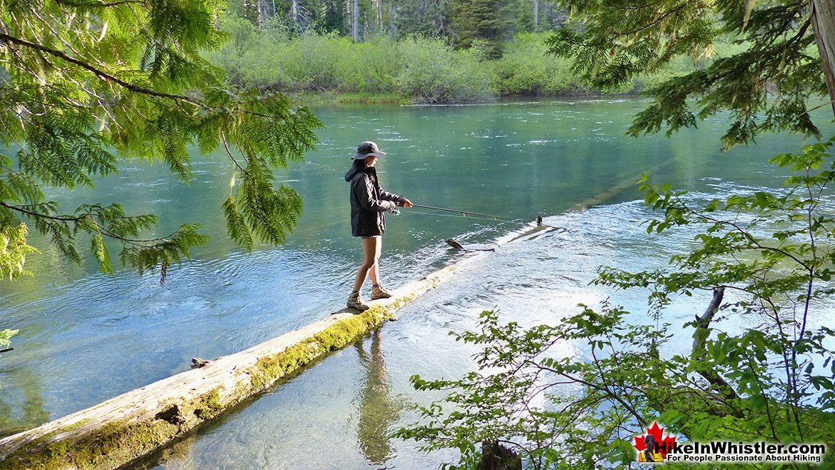 Great Fishing at Cheakamus Lake