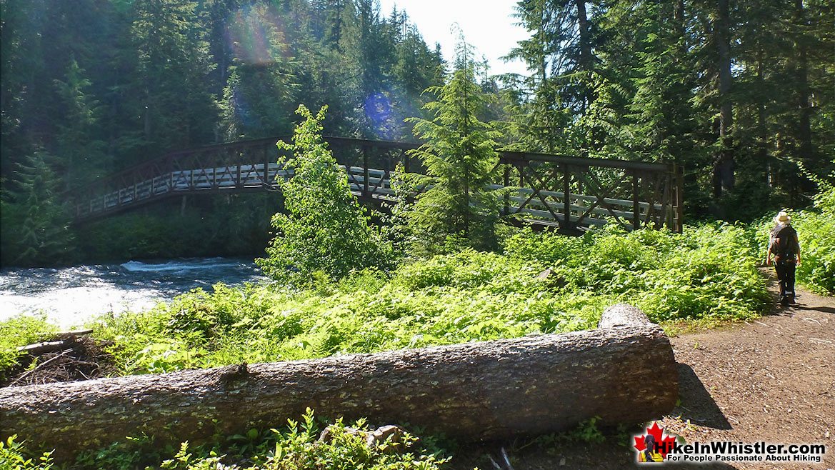 Helm Creek Trail Cheakamus River Bridge