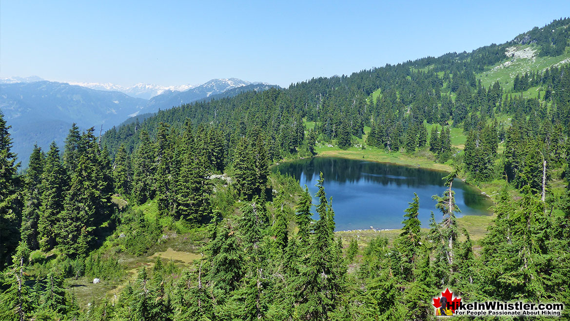 Sproatt Trail View