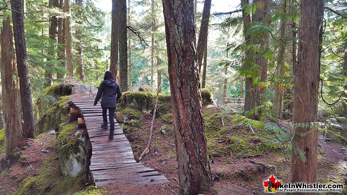 Whistler Train Wreck Trail